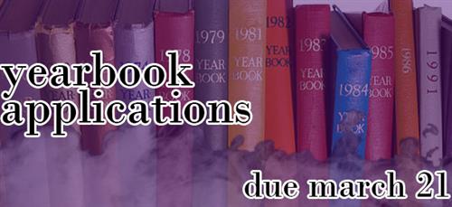  yb staff applications